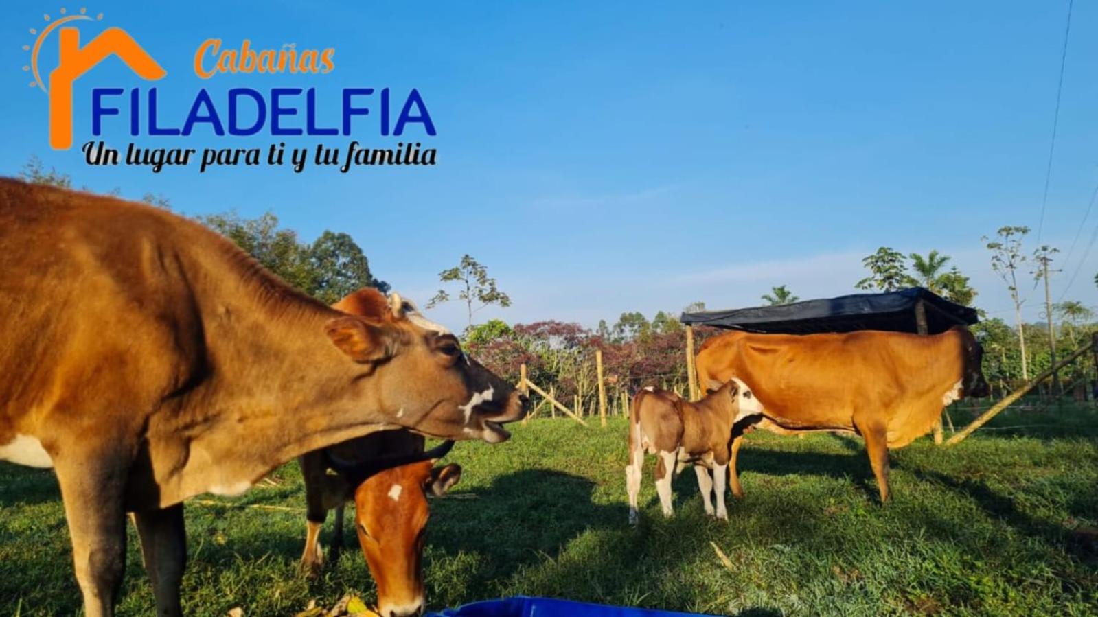 Filadelfia Santa Rosa de Cabal