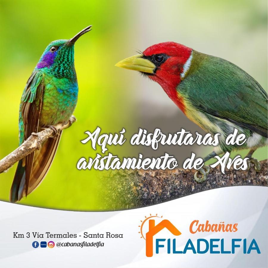 Chalet Filadelfia