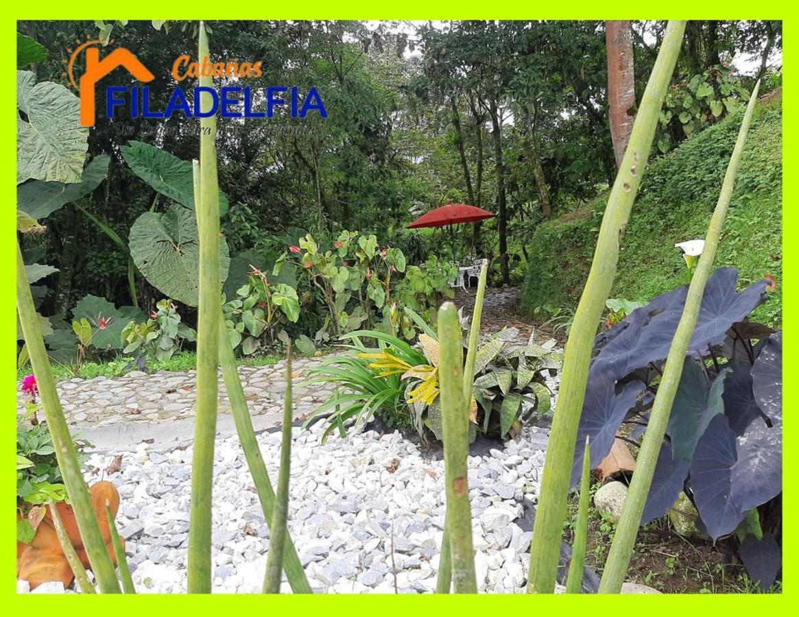 Filadelfia * Santa Rosa de Cabal